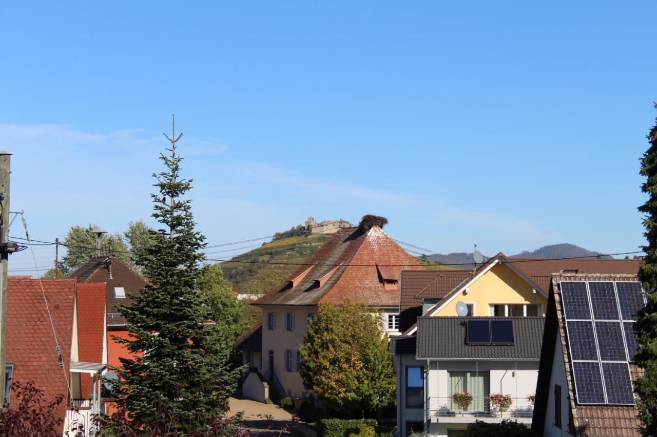 Ferienwohnung Im Weingewoelbe Staufen-en-Brisgau Extérieur photo